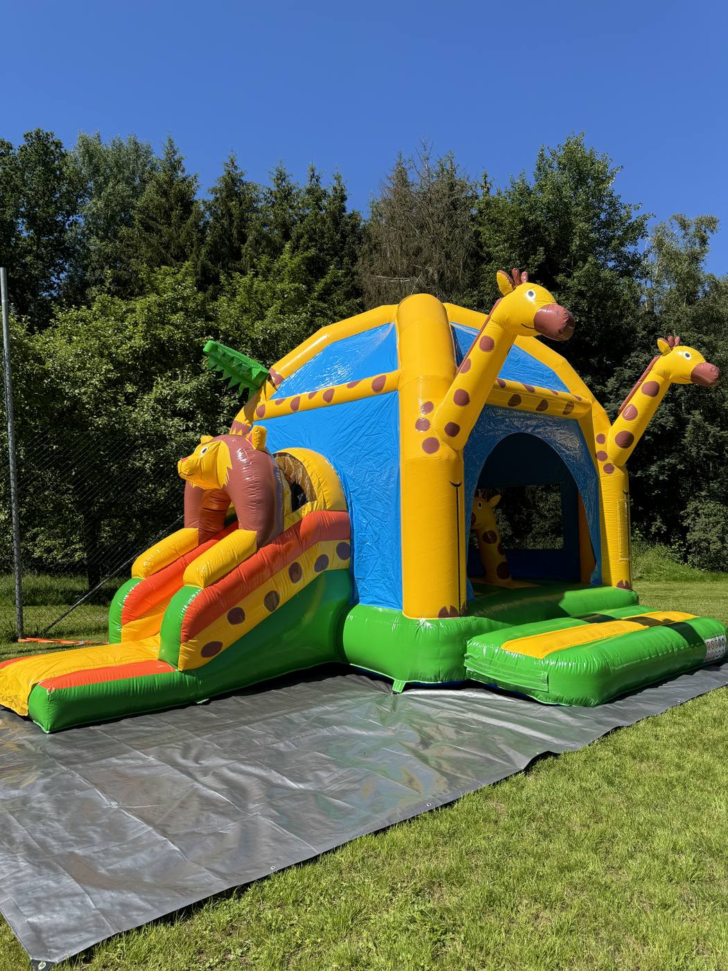Hüpfburg Multifun Giraffe – Foto 1