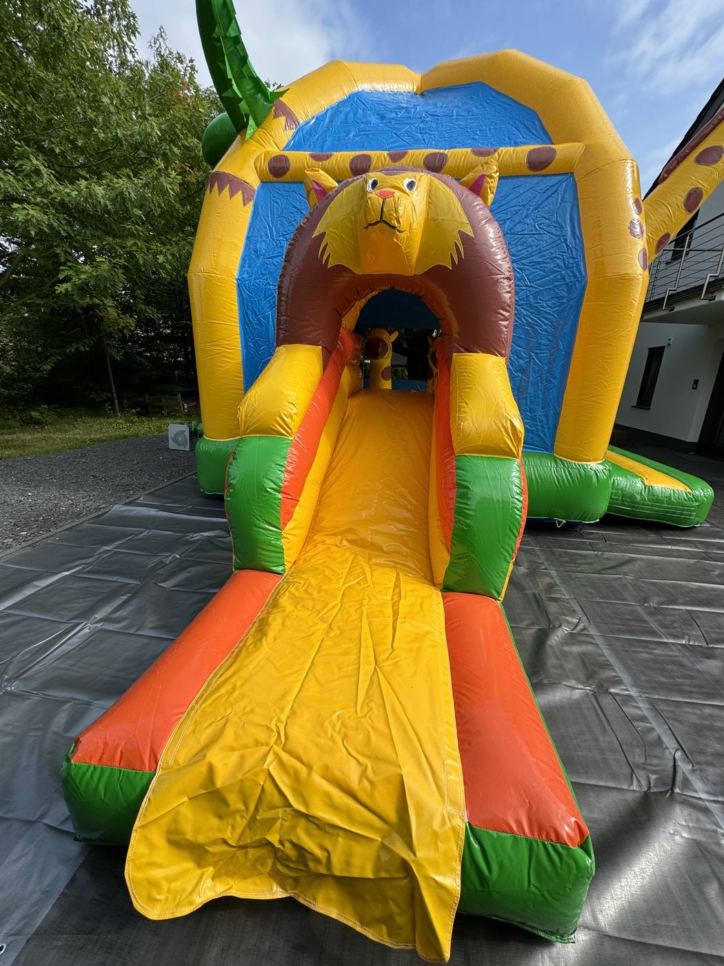 Hüpfburg Multifun Giraffe – Foto 2